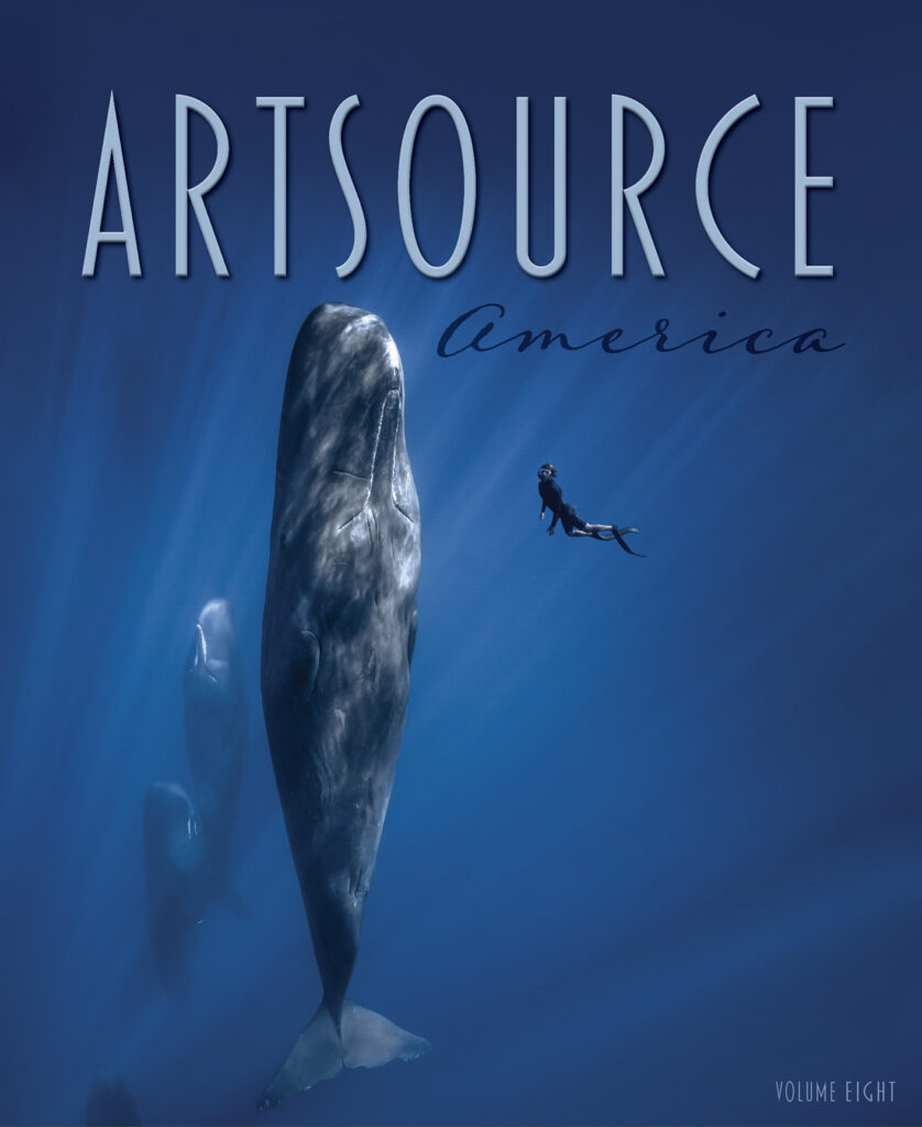 ART Source America Volume 8