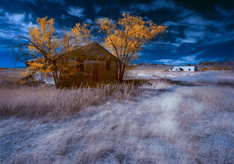 Autumn-of-Days-Infrared_by_Jim_Peterson